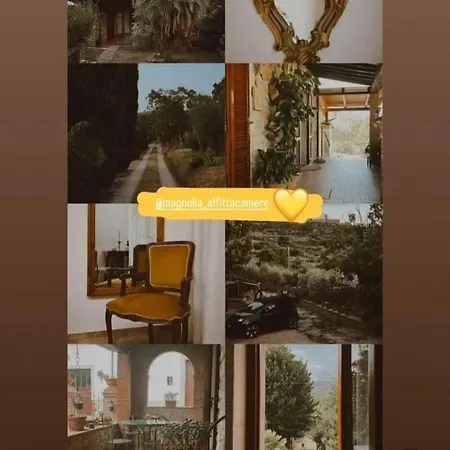 Apartman Magnolia Cortona