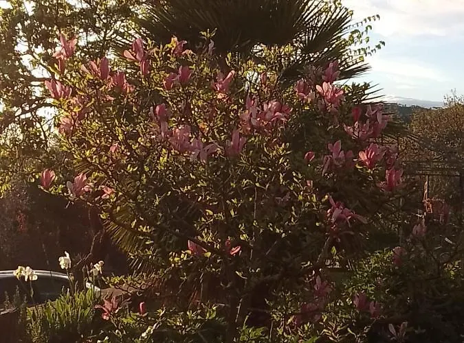Apartamento Magnolia *
