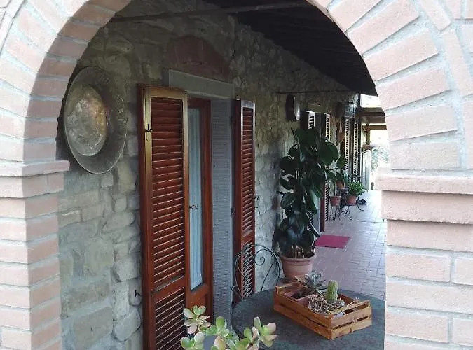Magnolia * Cortona