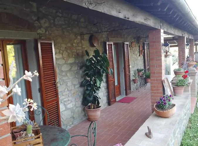 Magnolia * Cortona