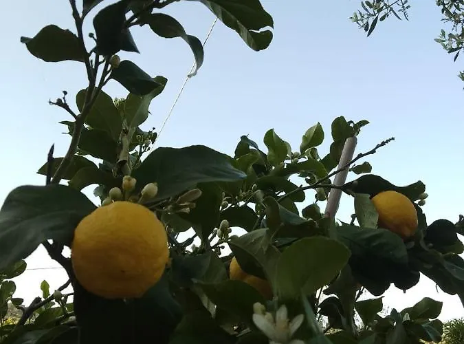 Apartamento Magnolia